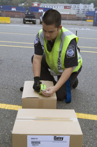 CBP officer inspecting box