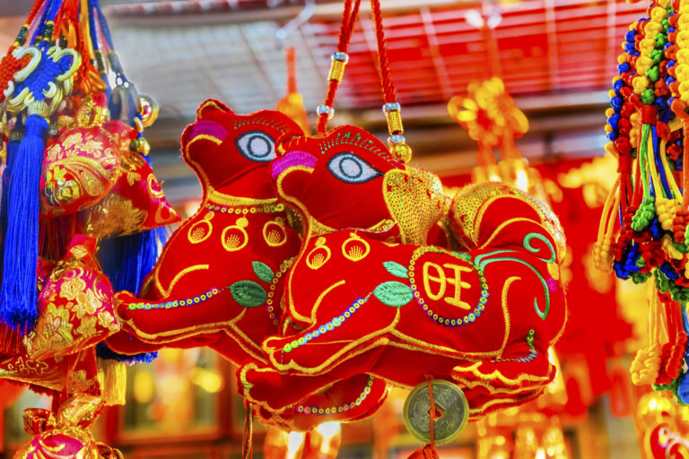 Chinese New Year Starts Today! | Nelson International